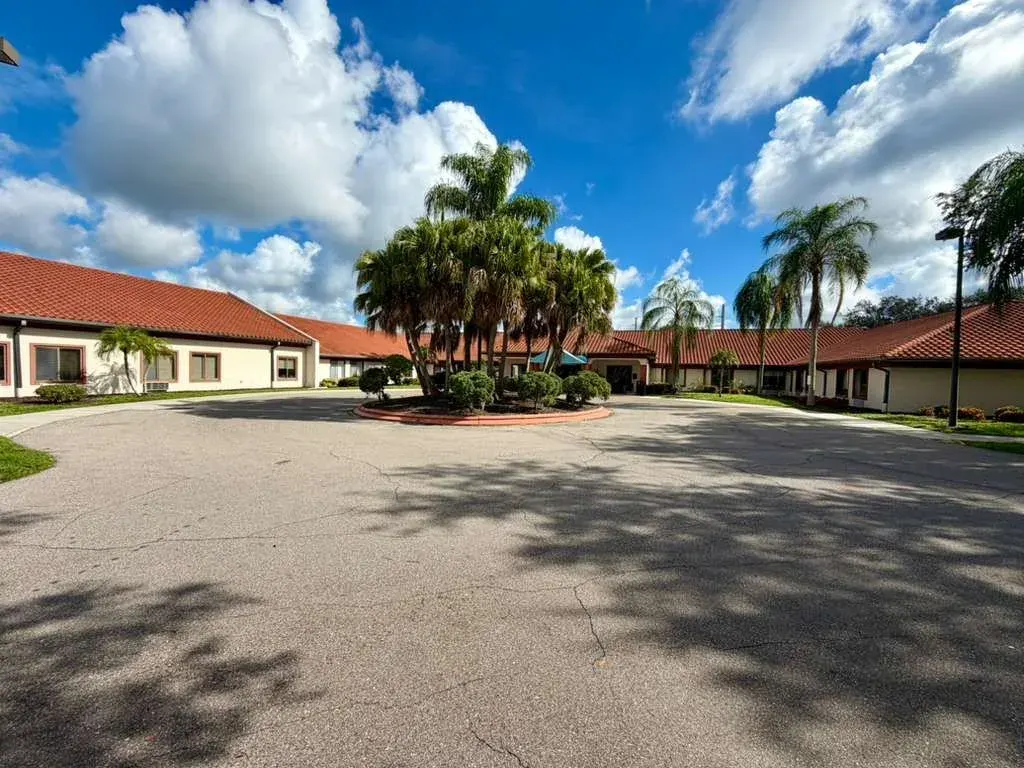The drive at Vivo Healthcare Meadows, palms along the front of the building